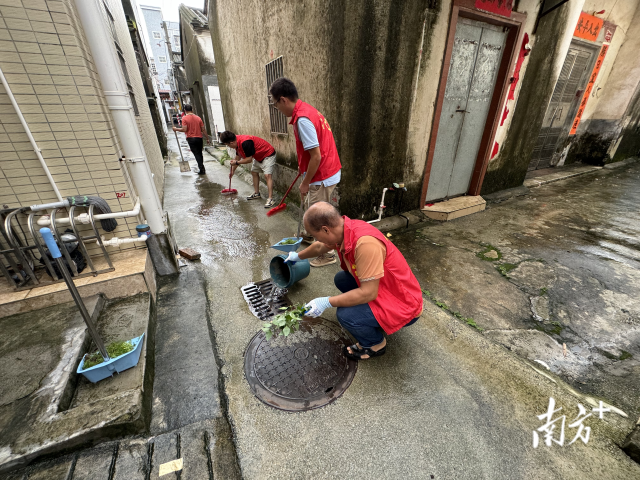 通訊員 供圖 圖片